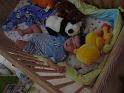 2009_09_10_Bisca_divers_ 158